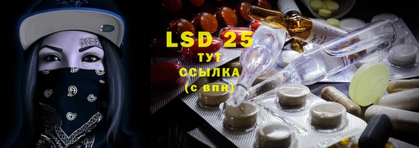 ГАЛЛЮЦИНОГЕННЫЕ ГРИБЫ Алзамай