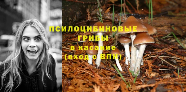 ГАЛЛЮЦИНОГЕННЫЕ ГРИБЫ Алзамай